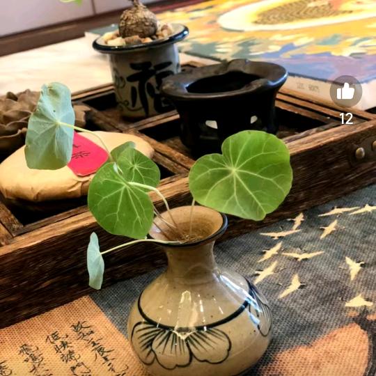 福源滋补源头店