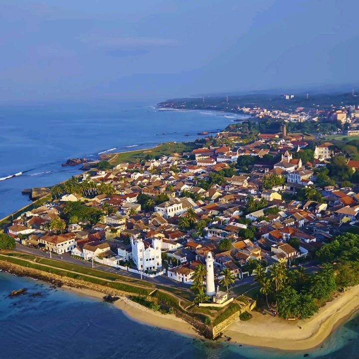 小杨