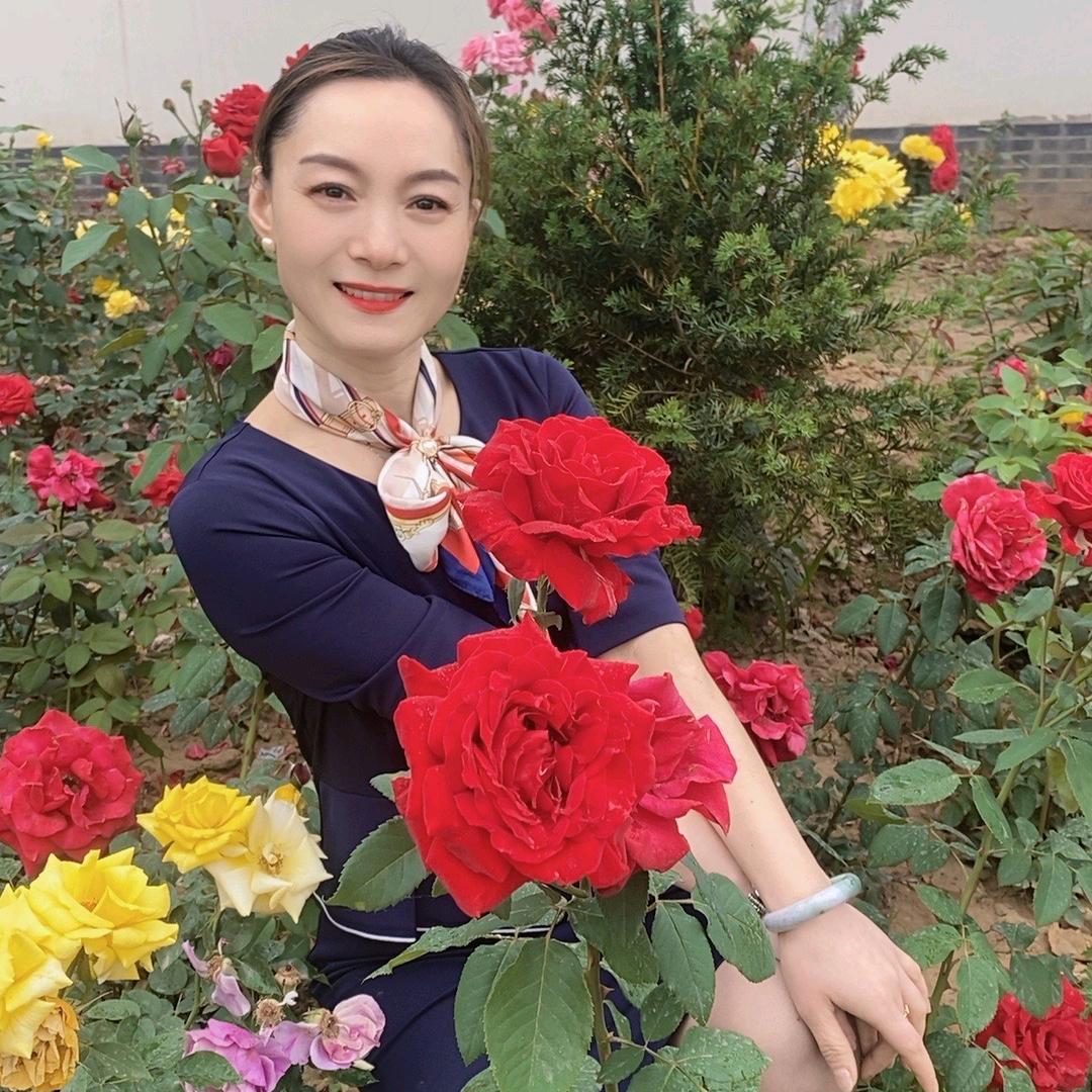 被风遗忘的夏天