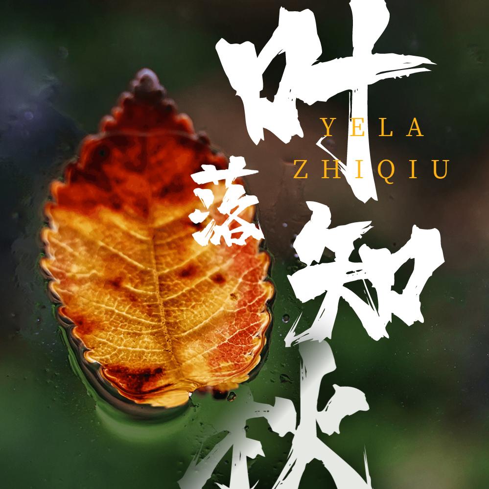 🍂随风意难平🍂