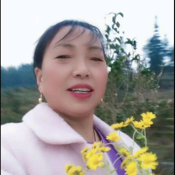 完美人生