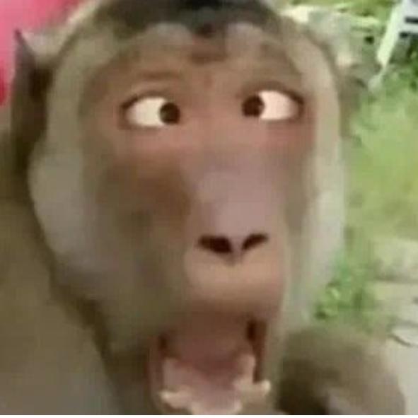 @魏