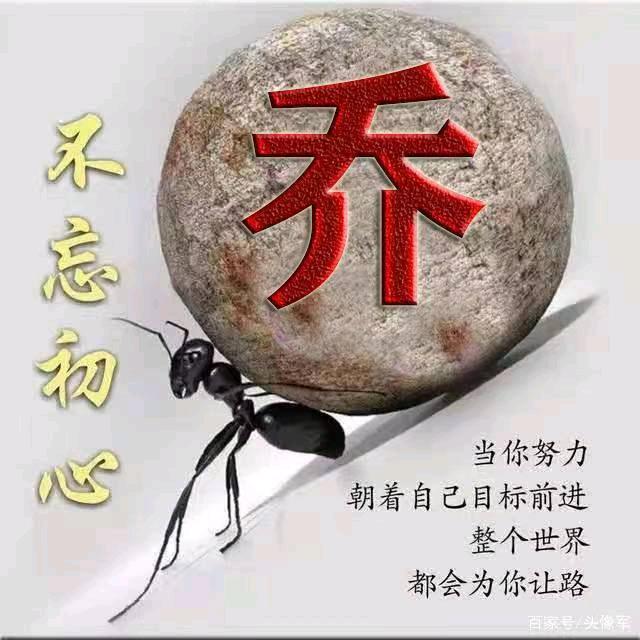乔琴