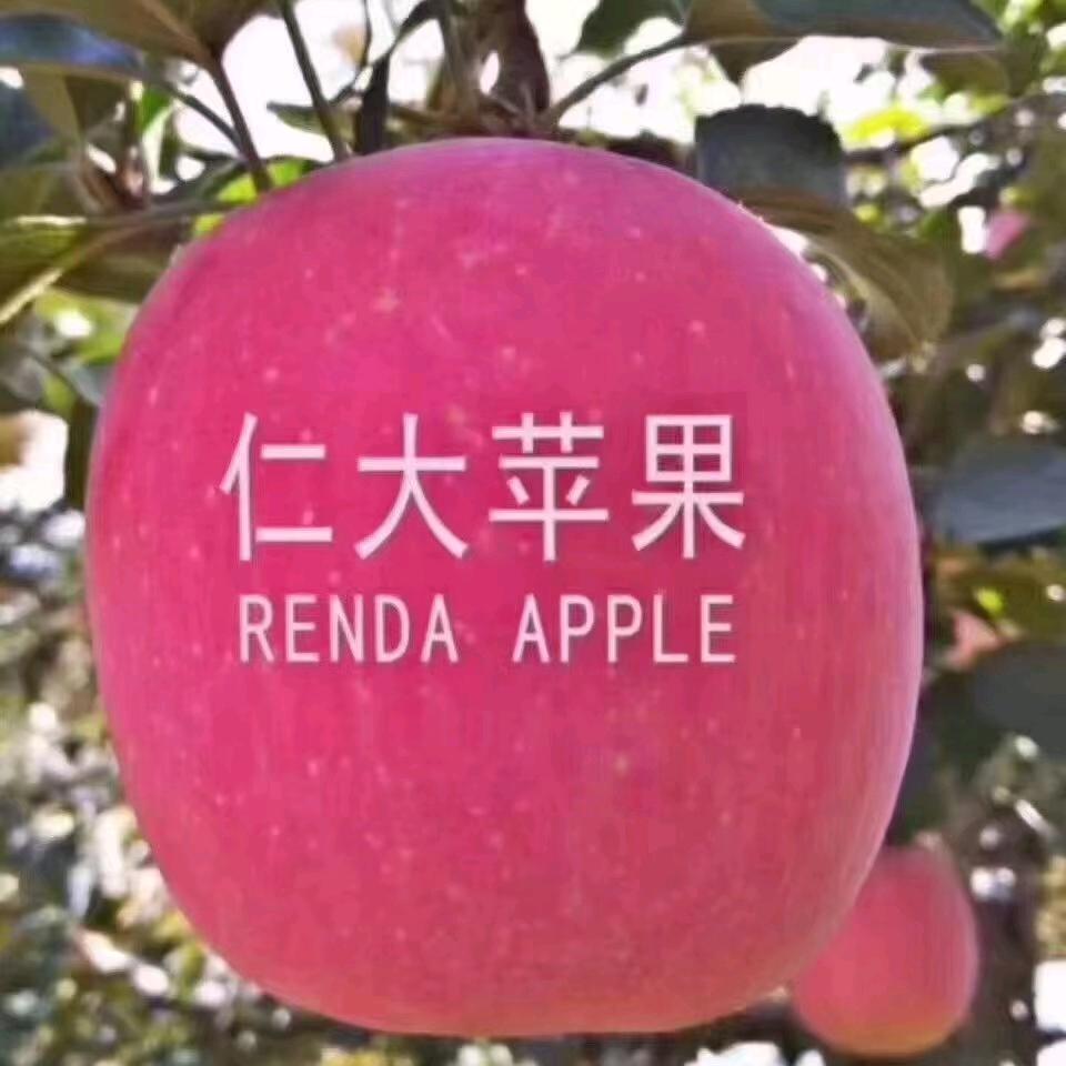 苹果哥🍎《关必回》