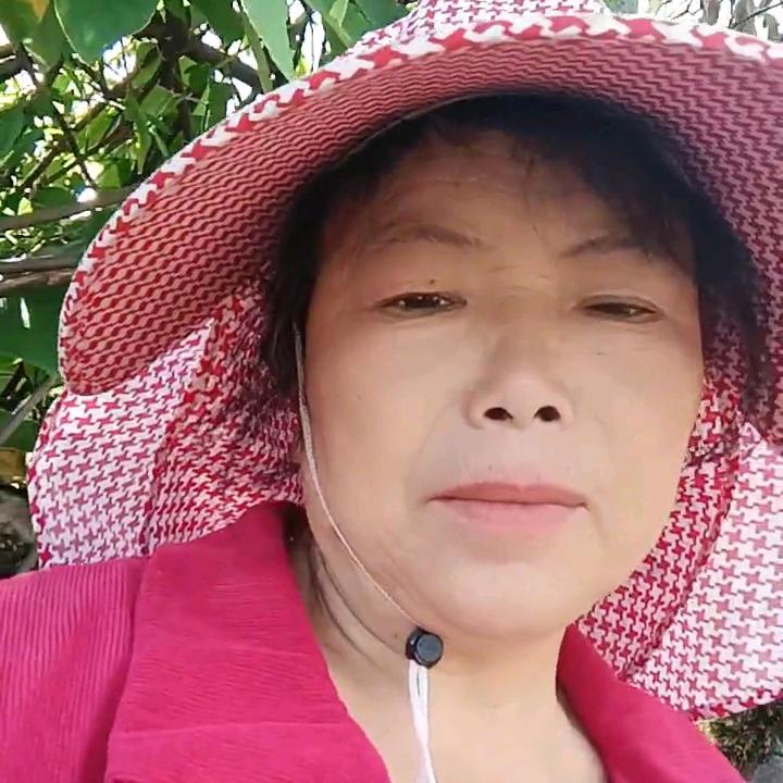 家和万事兴《孟》