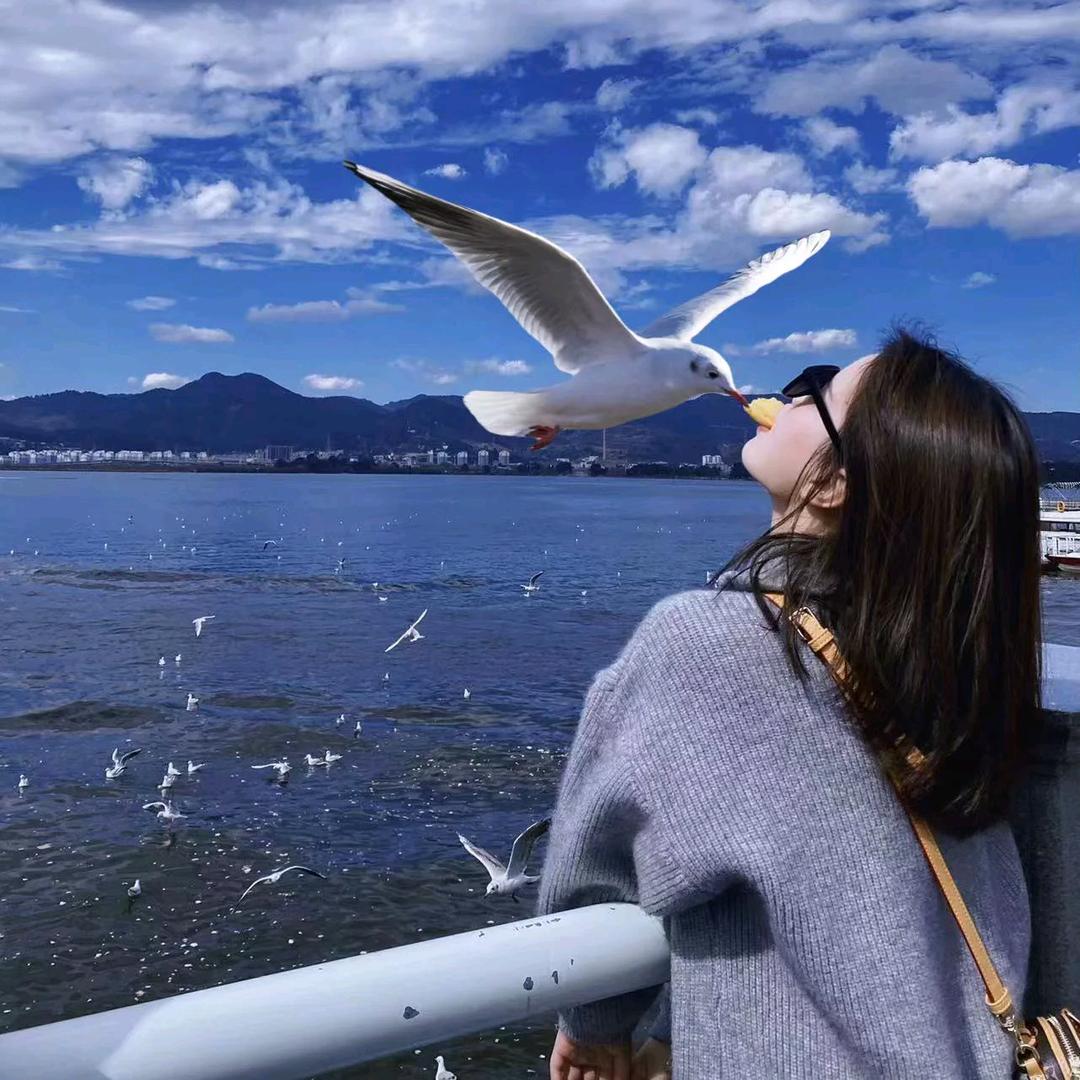 海问香🎀