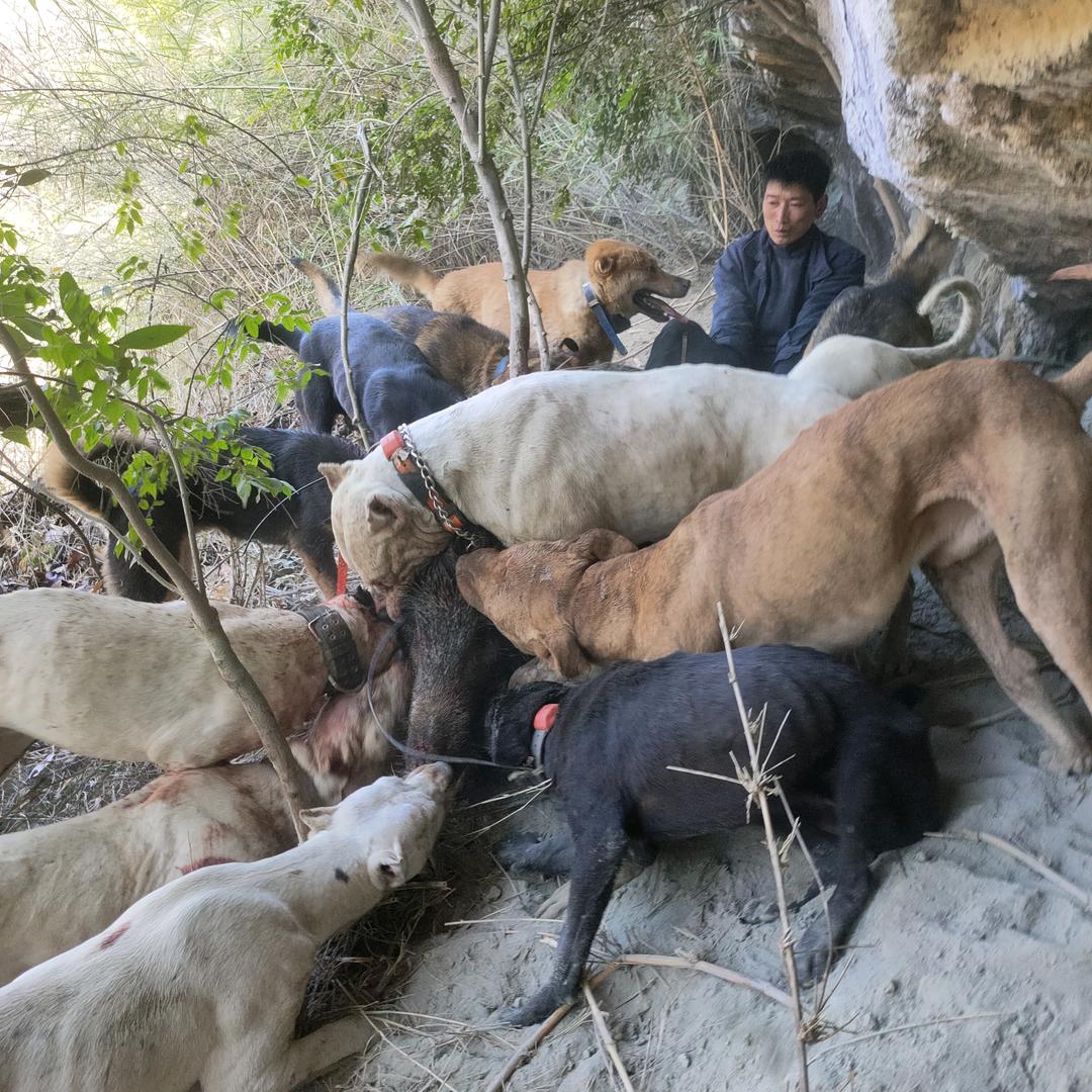 彝良护农队唐贵强