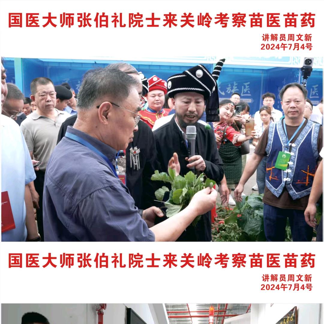 苗邹堂
