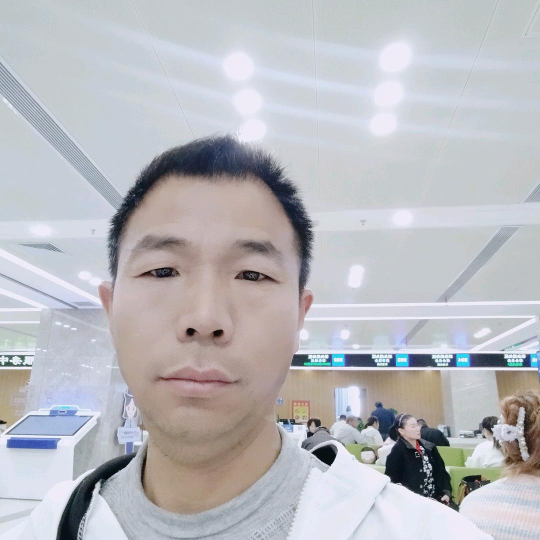 老刘养猪