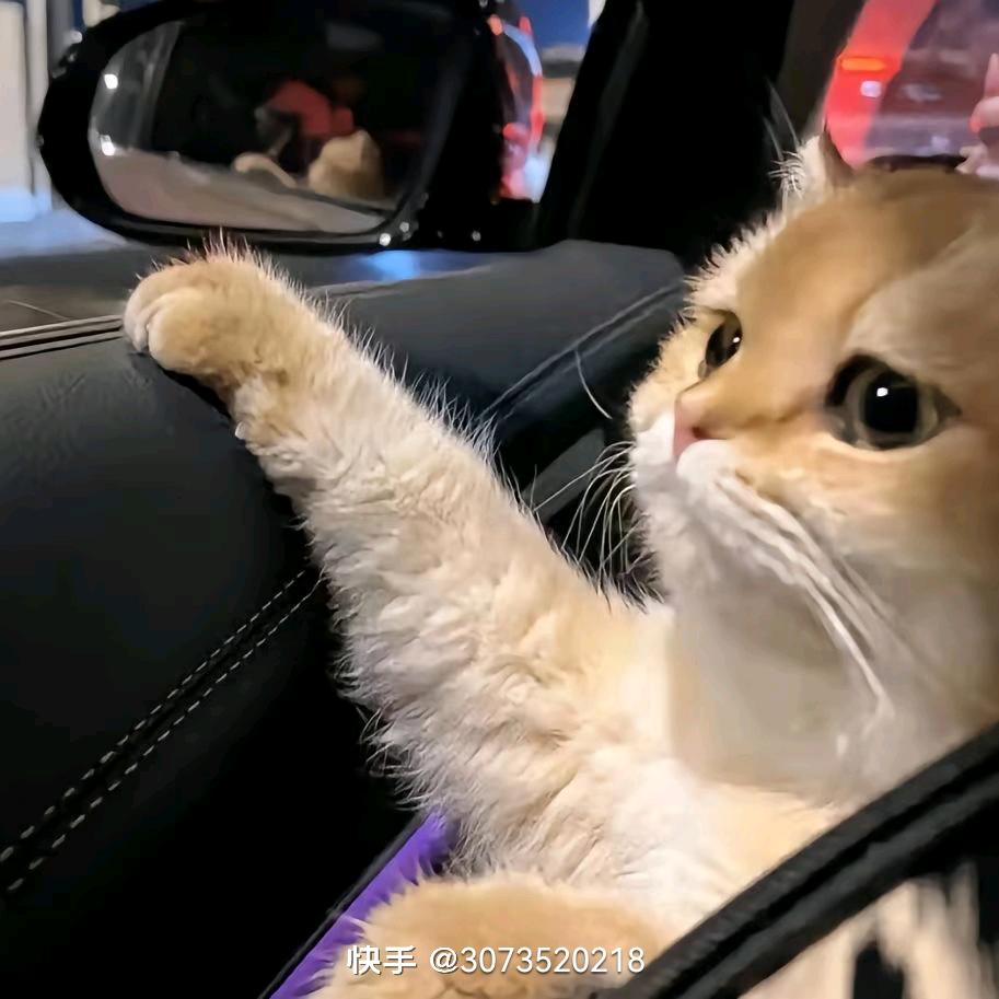 赋春思