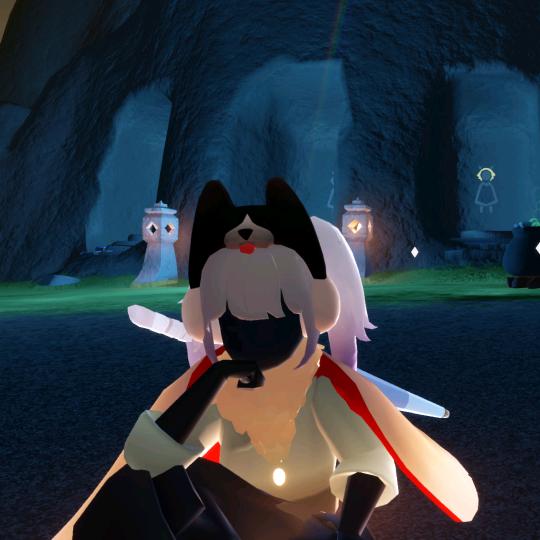 养只小猫叫小宇