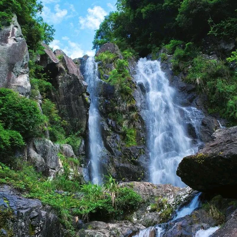 刘先生（增肌中）