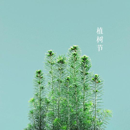 陇南平安
