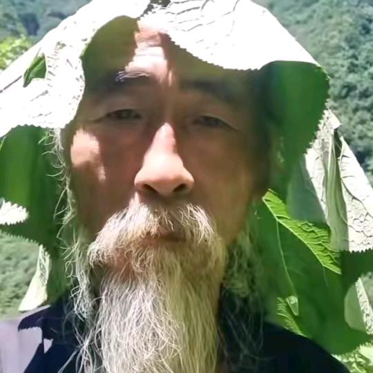 生椰拿铁 i（续🔥）