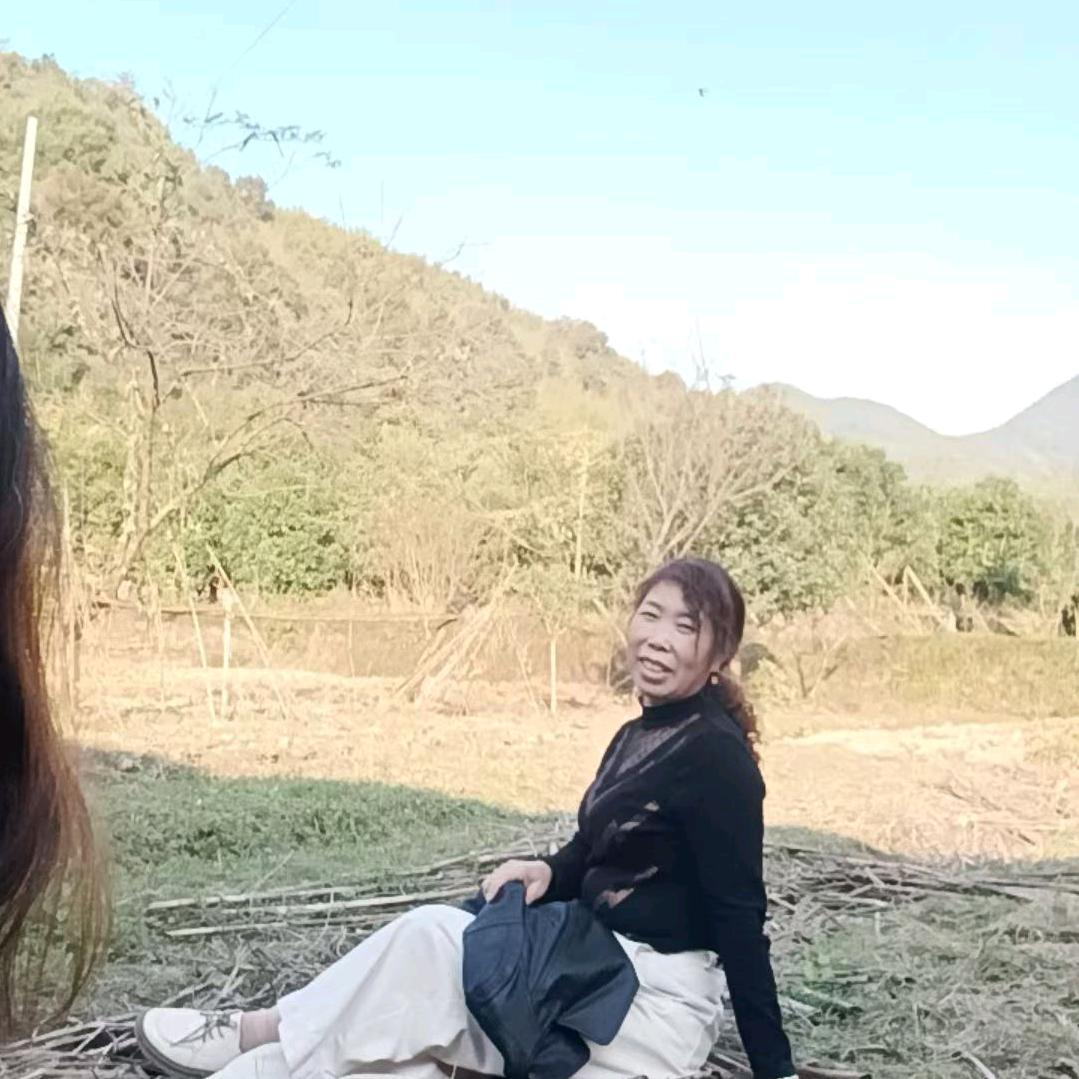 小蜜蜂