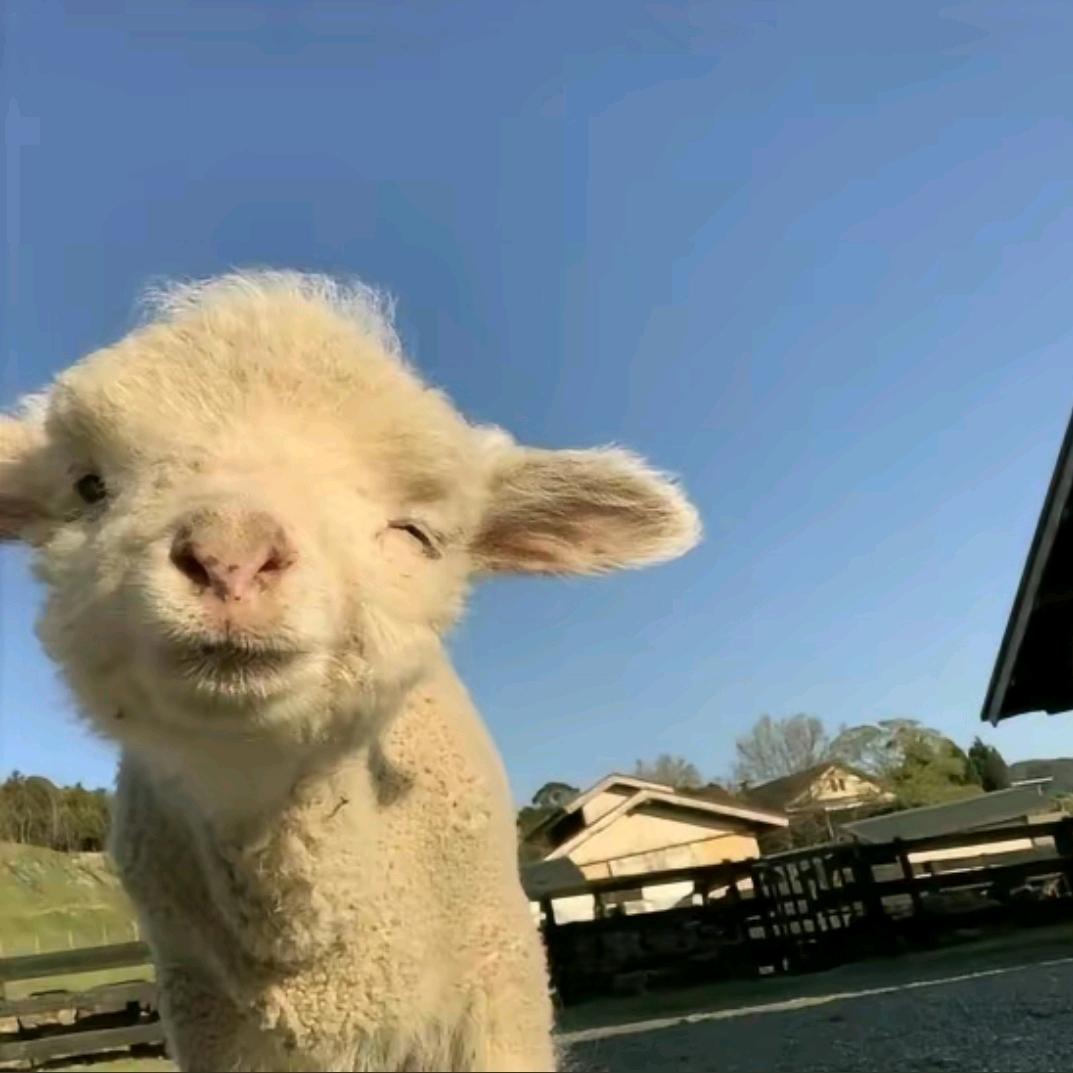 此安