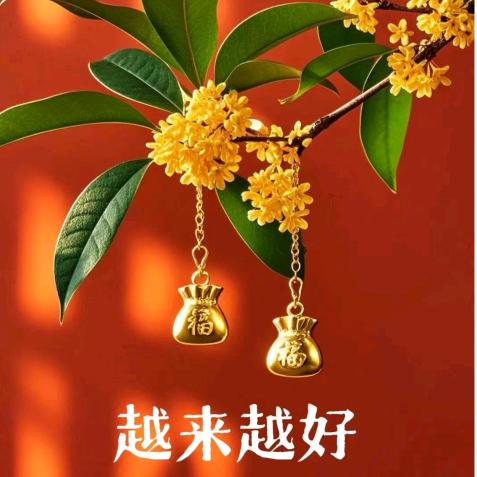 🌱静心🍃