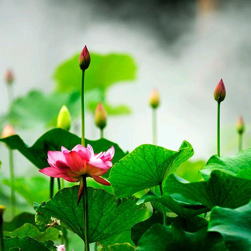 北京协和院系精心护肤品