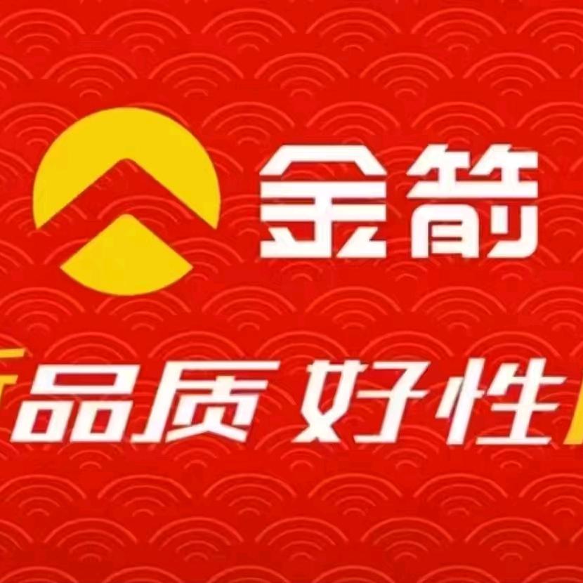 东阿县金箭电动车运营店