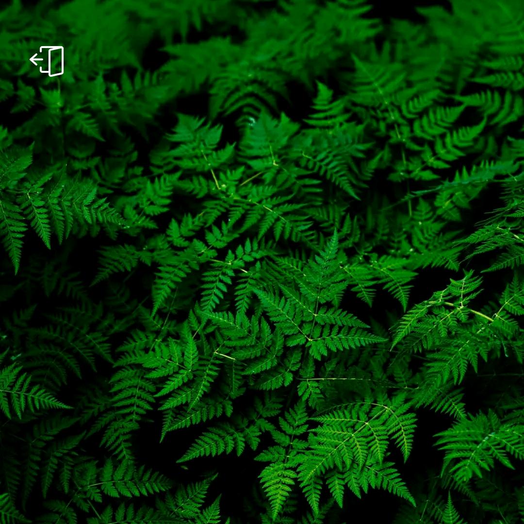 向着太阳，向着光