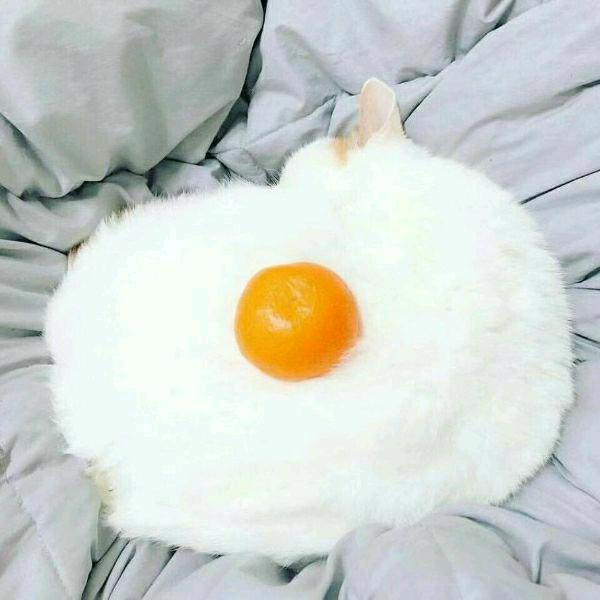 普通