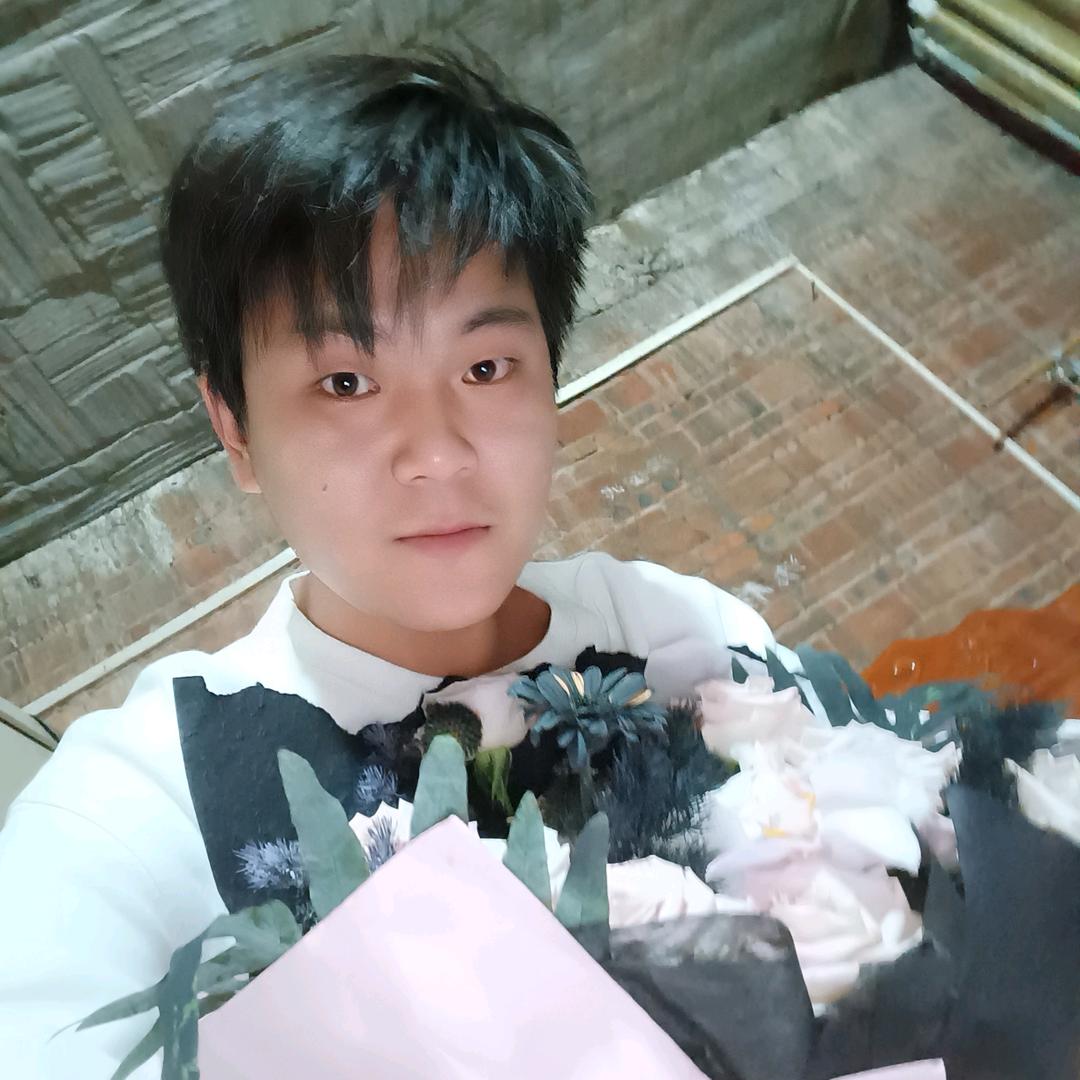 薄衫少年