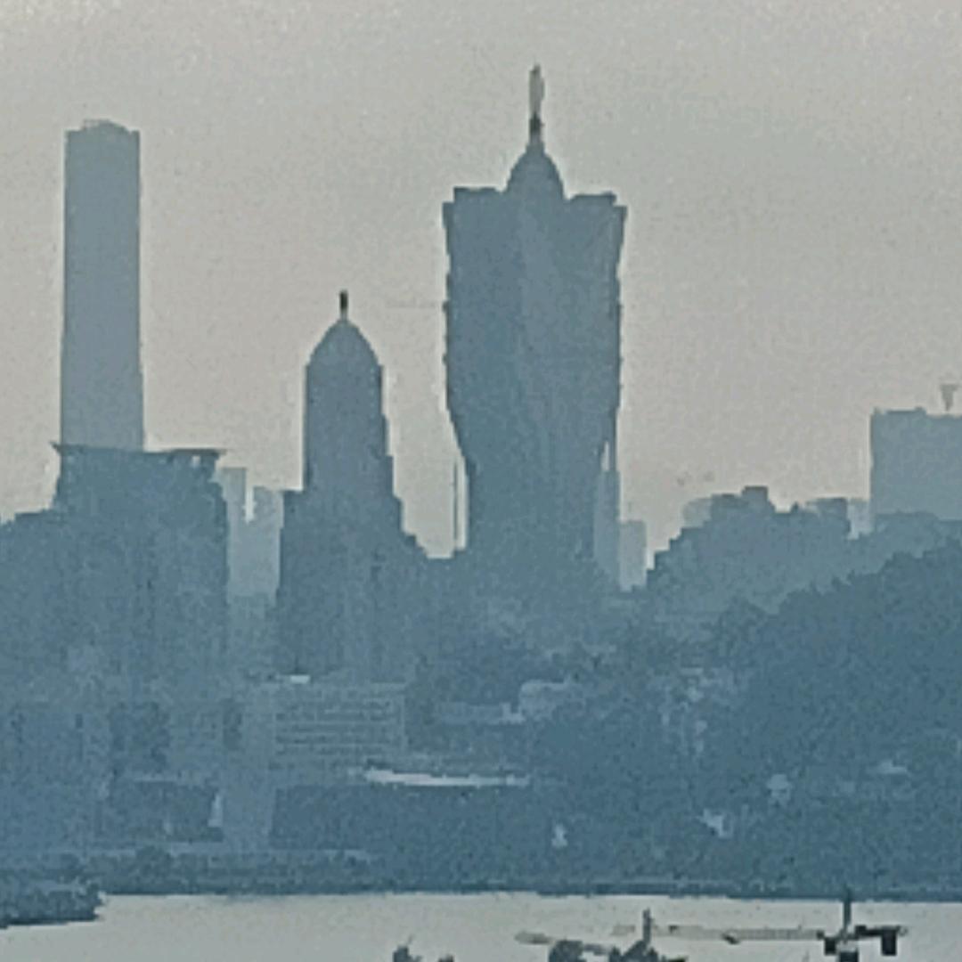 小白杨