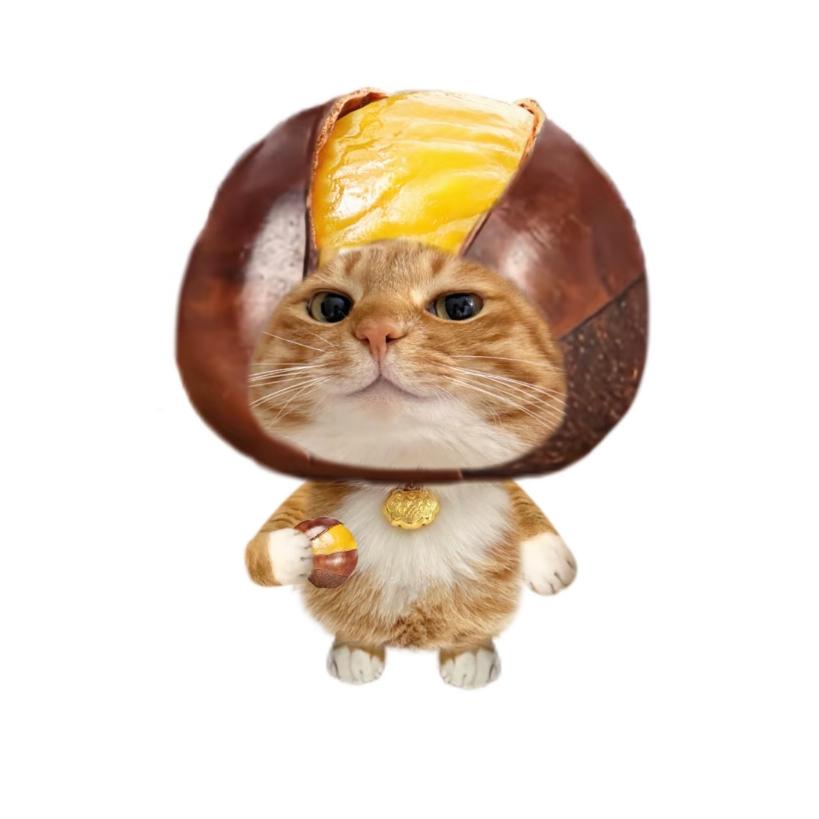 AAA榴莲螺蛳粉专业除臭