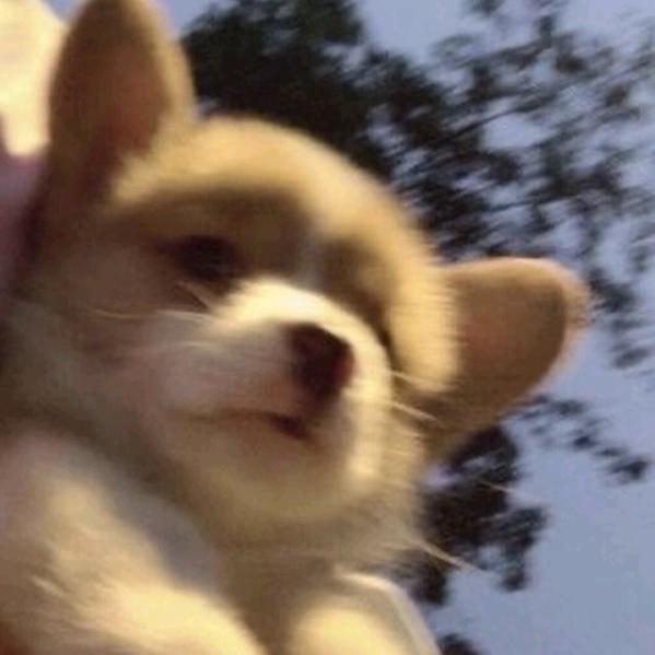 伦比