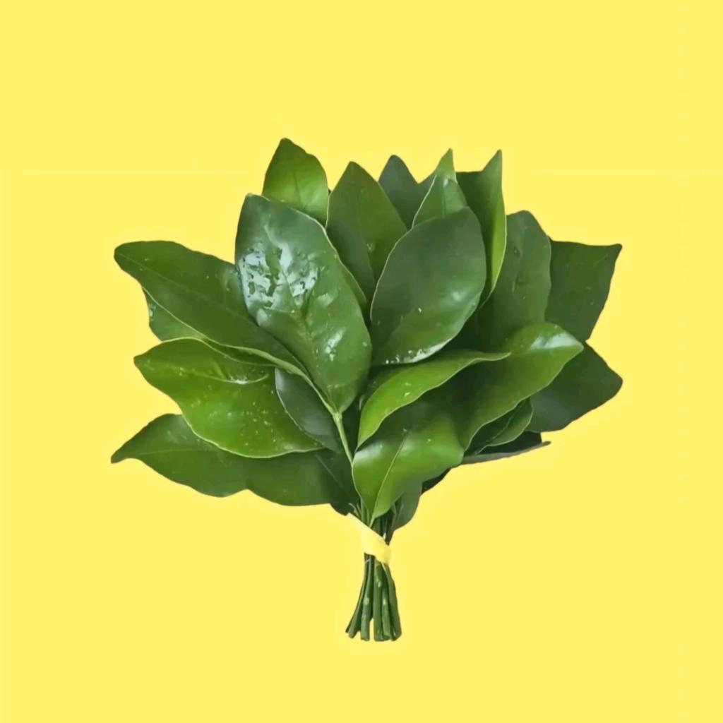 满心欢喜