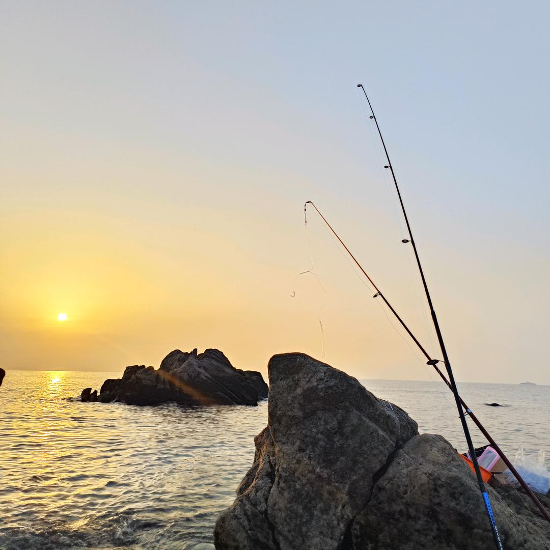 心之所向🌅