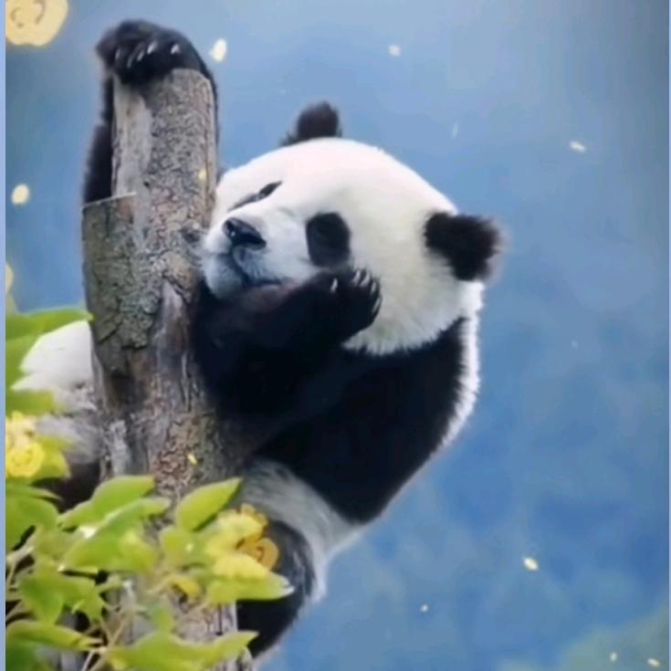 🚬ঞৣঁ᭄有你🍺超甜ঞৣ᭄