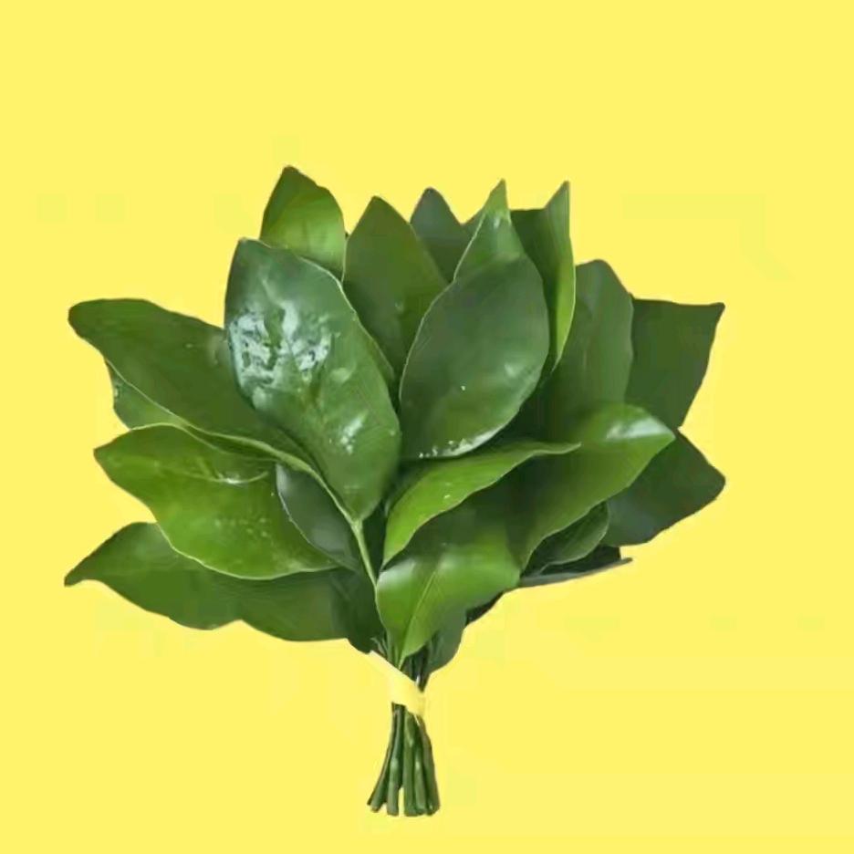 晓呆呱✨⁵³⁰