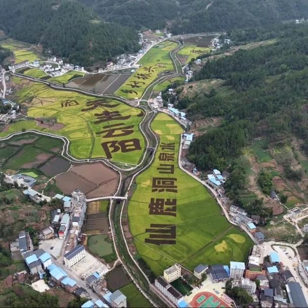 美好只能回忆