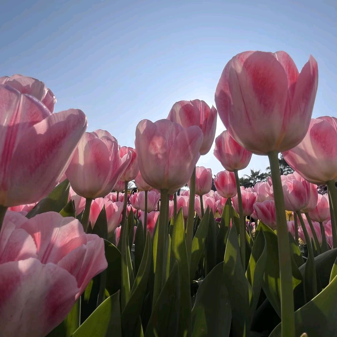 醉美酒城，千年荔城