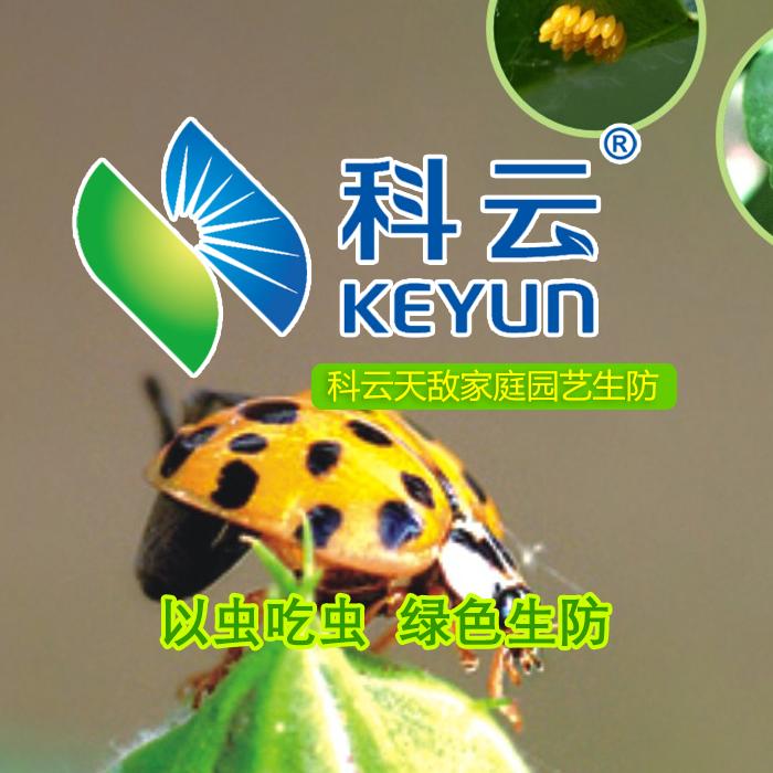 科云天敌家庭园艺