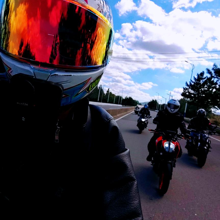 在人间凑数的日子