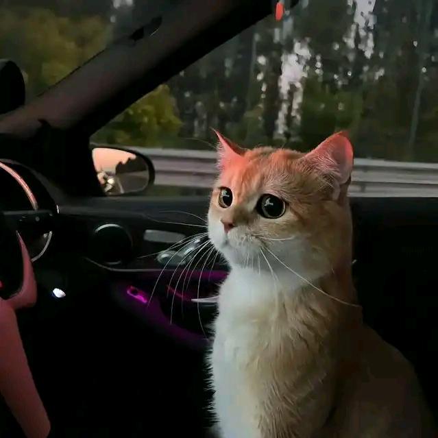 抖音丶小林