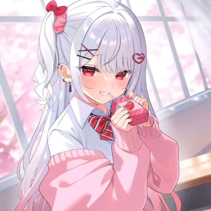 白鸢