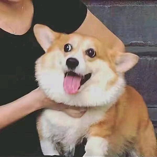 王者荣耀 南一（国服中单）