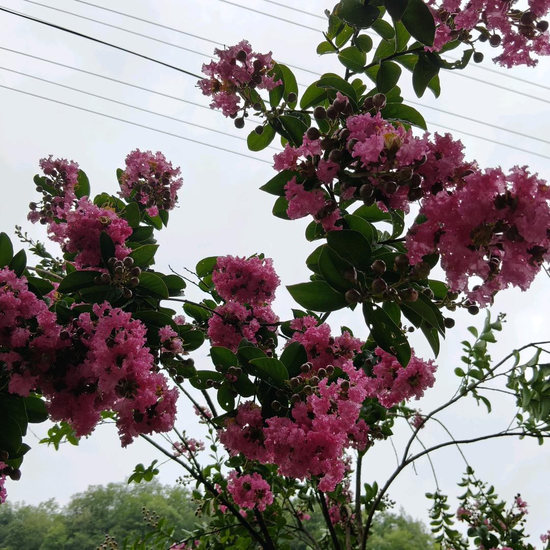 ღ᭄ꫛ悲欢ꦿ自愈এ᭄ۣۖ࿐