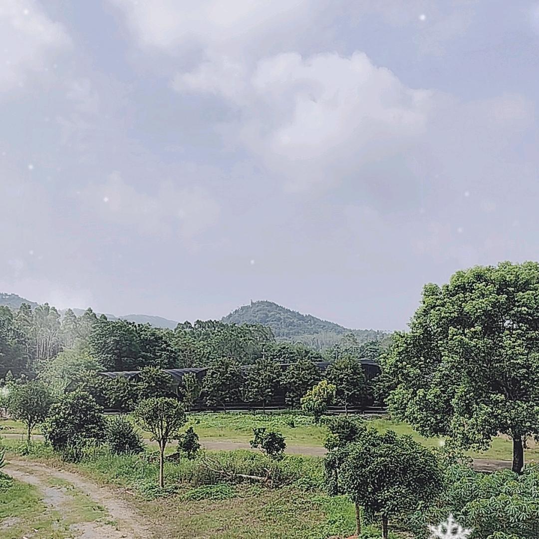 点赞关注不失踪