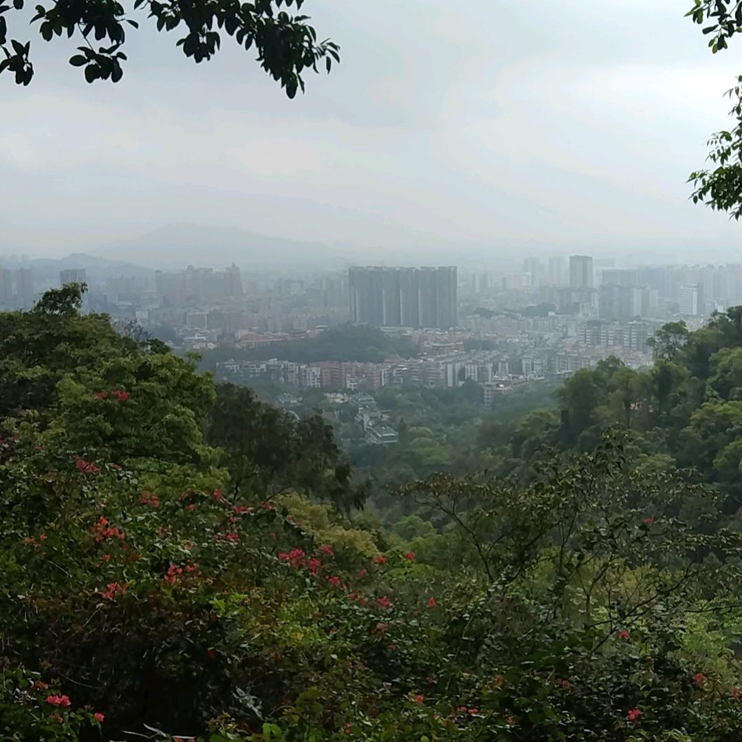 你是对的