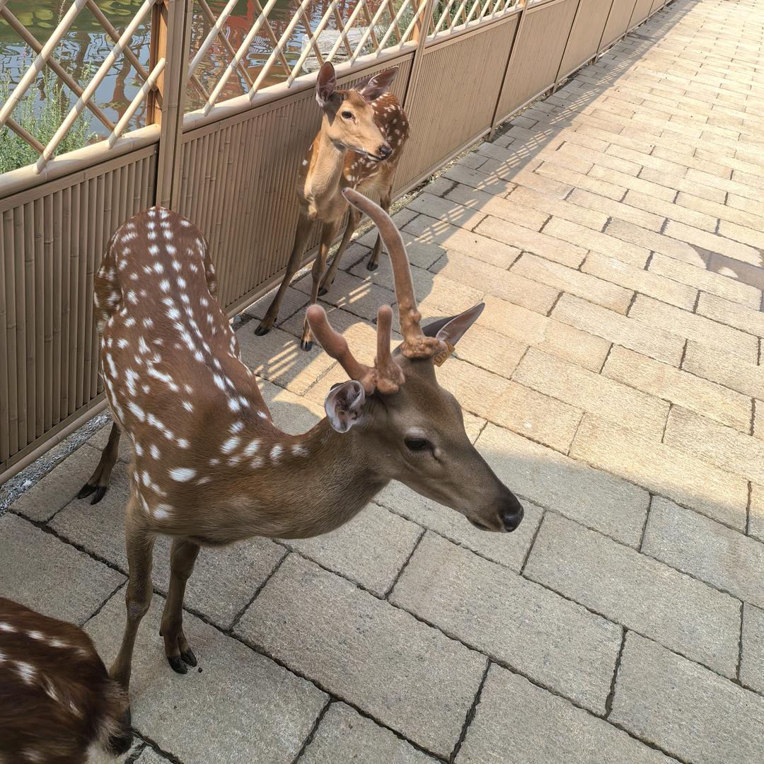 承承优选