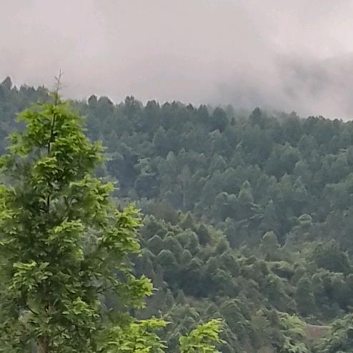 幸福奶奶