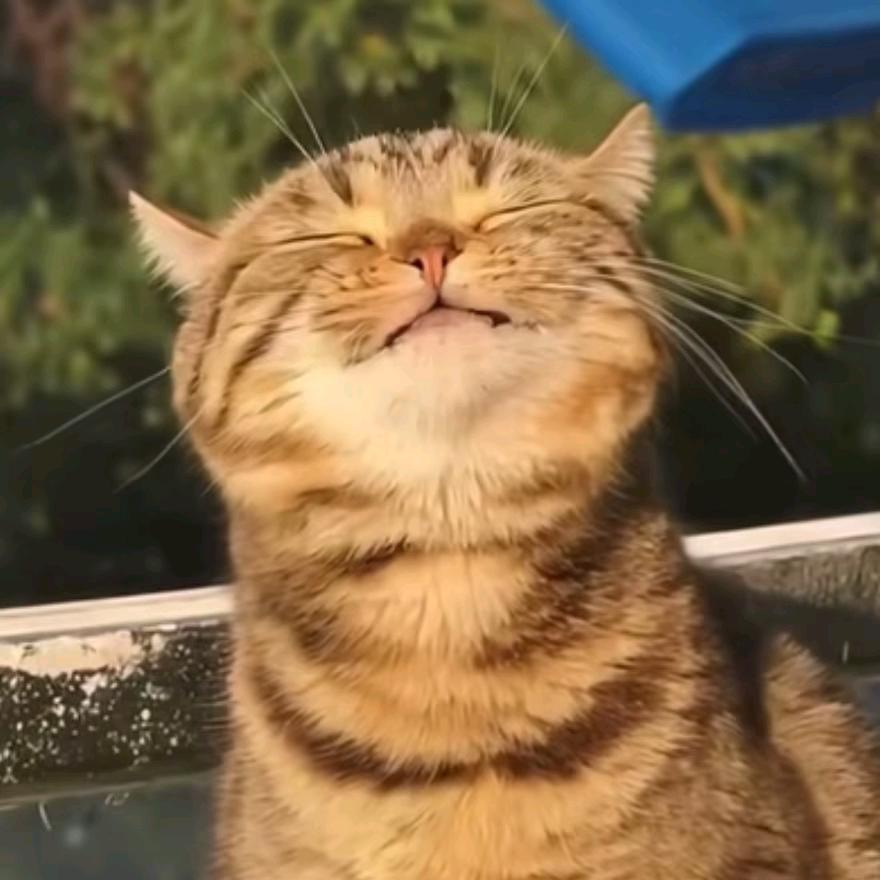 এ᭄玲ꦿృ༊