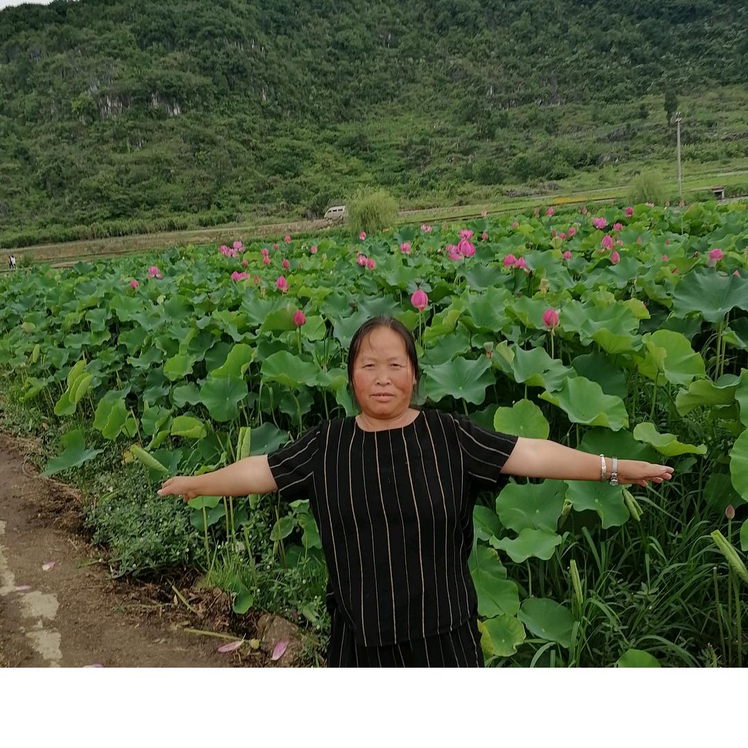 用户6140868958295