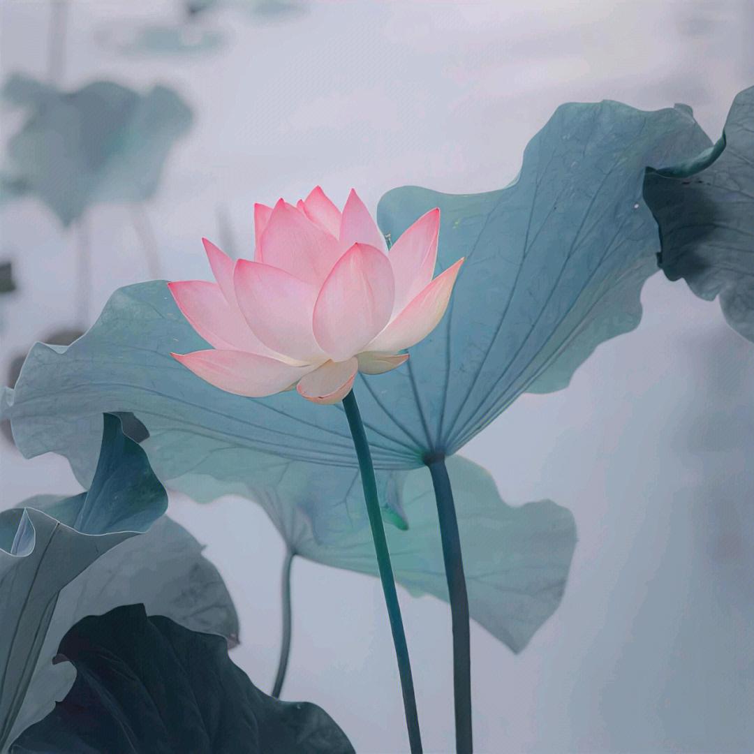 源源优选