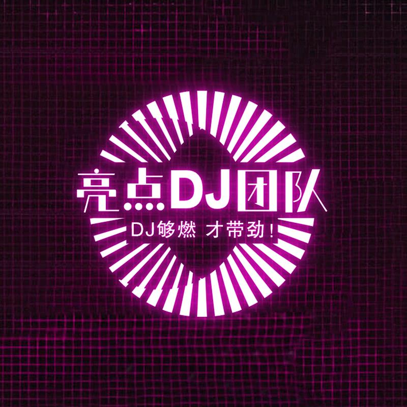 亮点DJ传媒/车载U盘