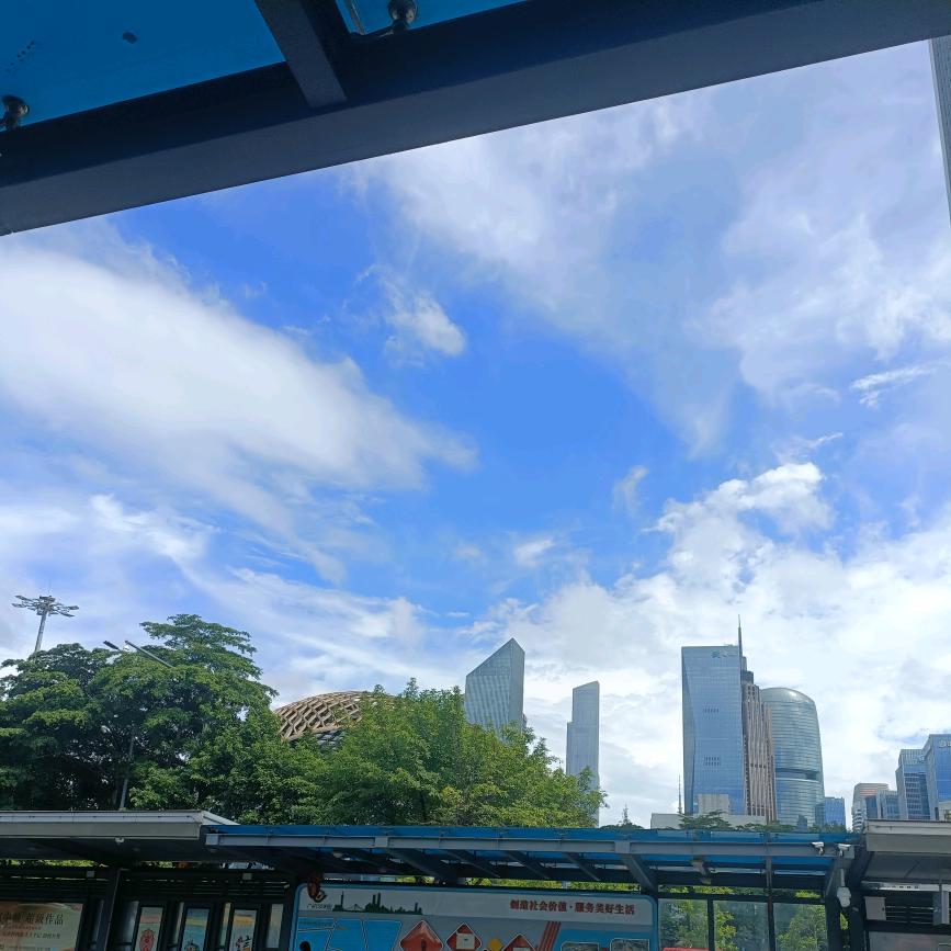 天使旋律Vc晨轩